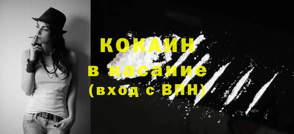 дурь Арсеньев