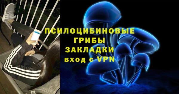 прущие грибы Армянск