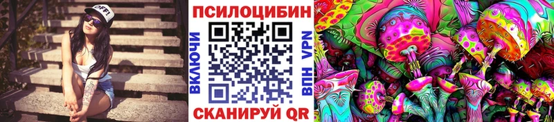 Псилоцибиновые грибы Psilocybe  Пенза 